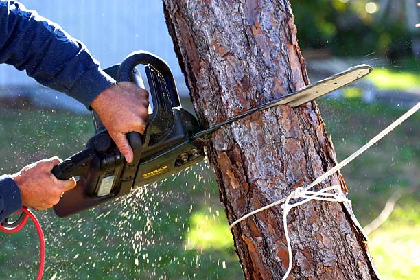 Lawn Irrigation Installation and Maintenance in Pine Island Center, FL